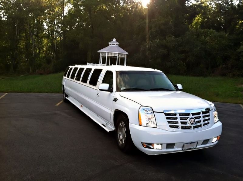 Santa Ana 20 Passenger Limo